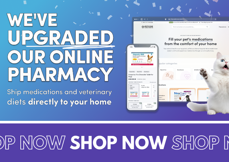 Carousel Slide 1: Online-Pharmacy